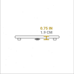 Enameled Antler Trivets