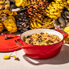 USA Enamel™ Cast Iron Dutch Oven